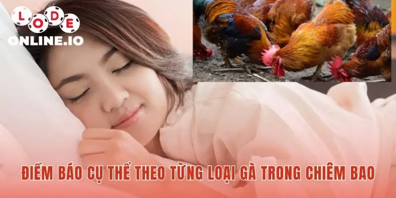 Luận giải ý nghĩa chiêm bao theo từng hình ảnh gà