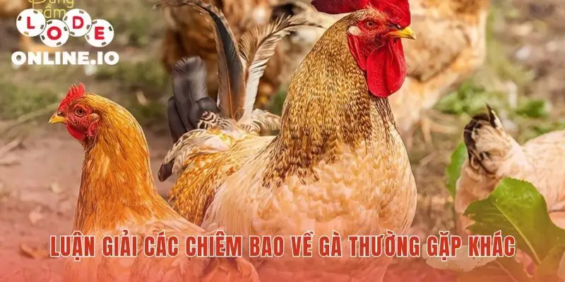 Mơ thấy gà với các tình huống đặc biệt và số may mắn